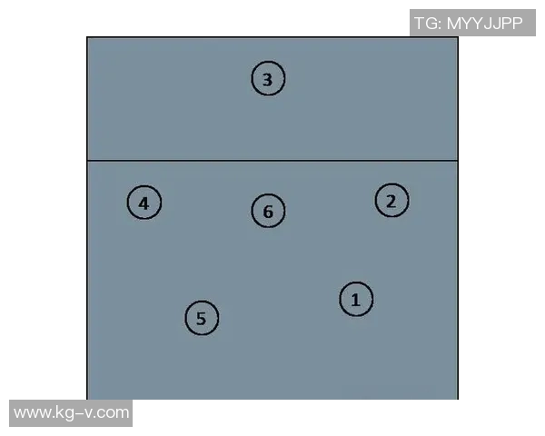 武汉排球队的战术解析与技术控制深度剖析