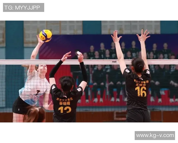 排球耐力排行榜揭晓北京排球队荣获第五名展现强大实力